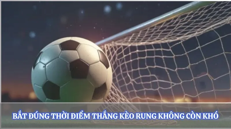 Bắt đúng thời điểm thắng kèo rung không còn khó