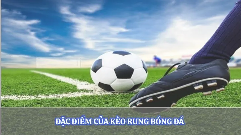 Đặc điểm của kèo rung bóng đá 