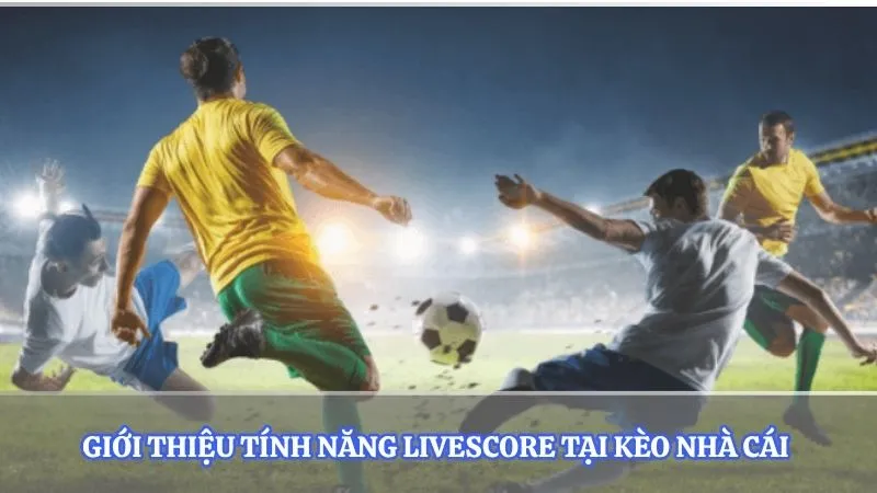 Giới thiệu tính năng Livescore tại kèo nhà cái 