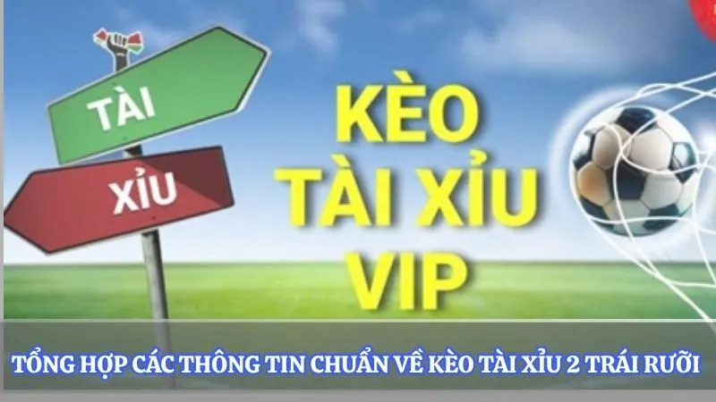 Tổng hợp các thông tin chuẩn về kèo tài xỉu 2 trái rưỡi 